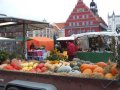 Erntedankmarkt in Greifswald